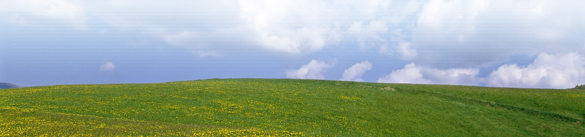 Slide background